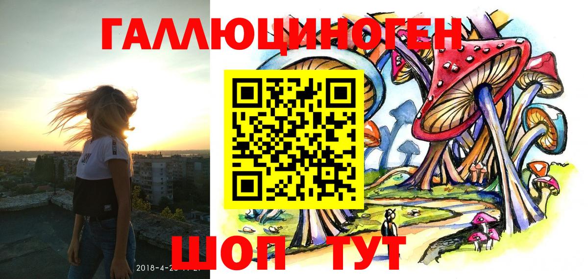 Псилоцибиновые грибы Cubensis Борзя